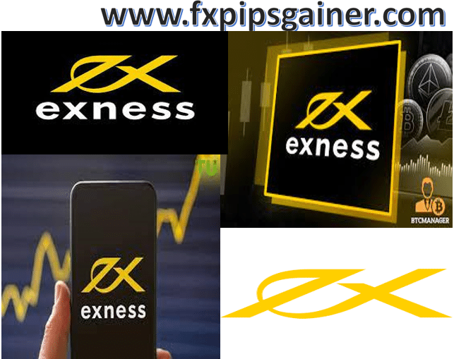 Exploring the Exness Company A Comprehensive Broker Review
