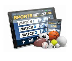 Betwinner Your Ultimate Guide to Successful Betting